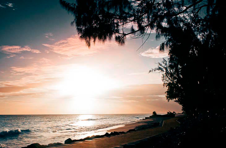 Ромовые пляжи Барбадоса