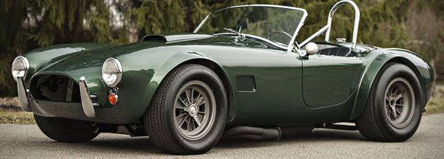 Shelby Dragon Snake Cobra