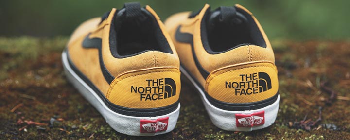 vans x the north face