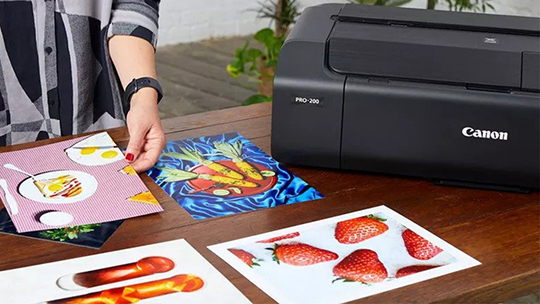 лучшие принтеры для художественной печати